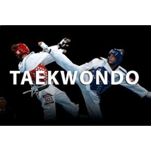 Taekwondo